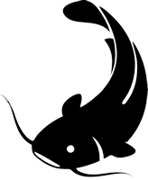 Symbol: Catfish, a fake persona on the internet